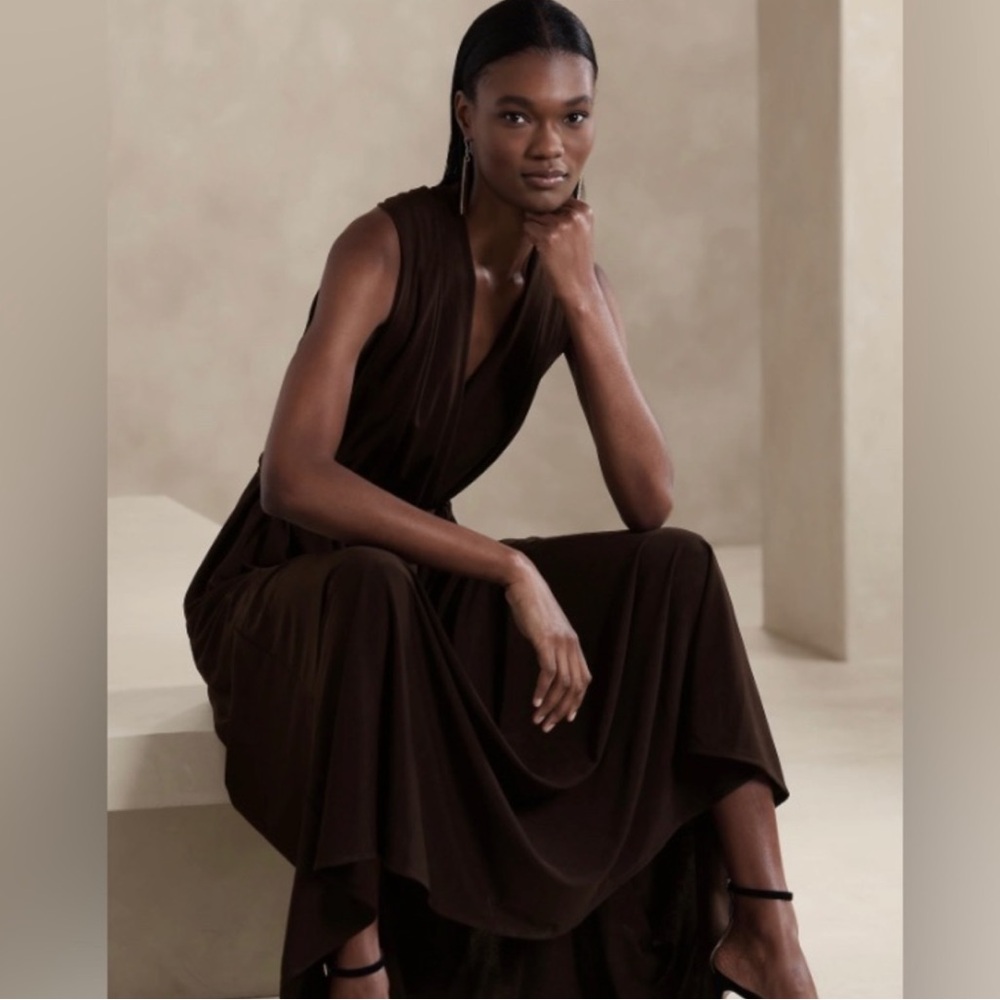 NWT Banana Republic Elegant Lyana Brown Dress